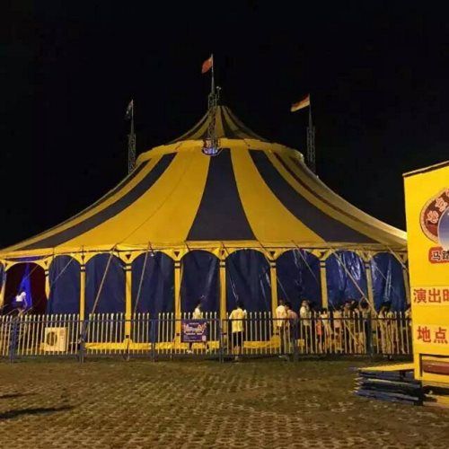 寶山區金剛鸚鵡表演雜技蝴蝶展蝴蝶標本展覽租賃