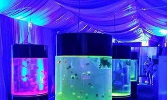 海洋展設(shè)備出租鯊魚展觀賞魚缸出租海獅表演