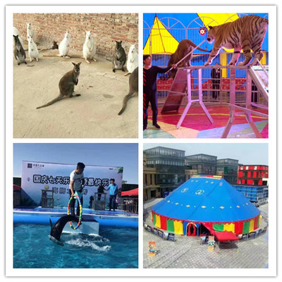 瓊海出租雜技馬戲團表演節目類型多