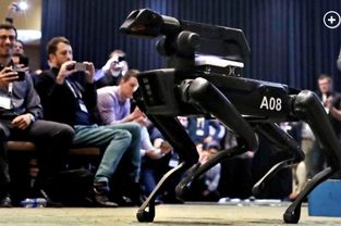 波士頓動力與太陽馬戲團合作 由spot機器狗參加演出