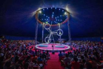 春節出租馬戲團表演檔期充足