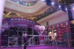 深圳哪里有馬戲團演出馬戲團表演廠家|供應(yīng)商|公司_一呼百應(yīng)移動站