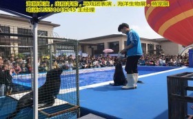 哪里有出租馬戲團的潞城海洋生物展