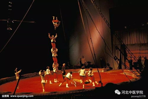 還留守在石家莊的小可愛們注意啦