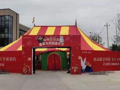 【佛山馬戲團(tuán)出租租賃】- 