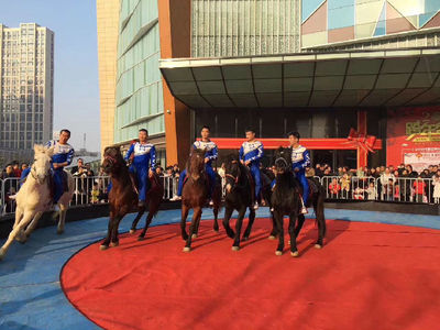 租賃動物皇家馬戲團商業慶典互動暖場