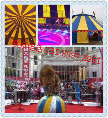 貴陽哪里有馬戲團表演怎么聯系馬戲團演出什么價錢