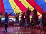 馬戲團表演出租湖北省