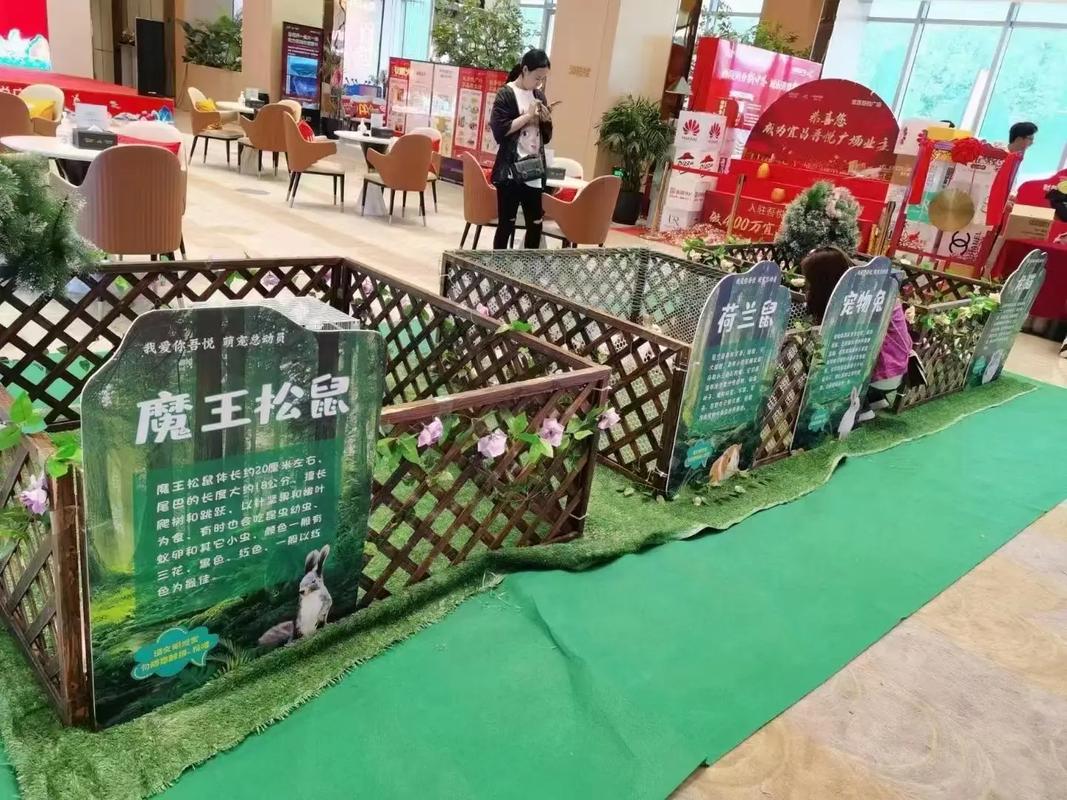 動(dòng)物出租#馬戲團(tuán)表演出租#海獅表演出租#羊駝出