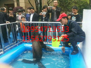 【孔雀展出租】-